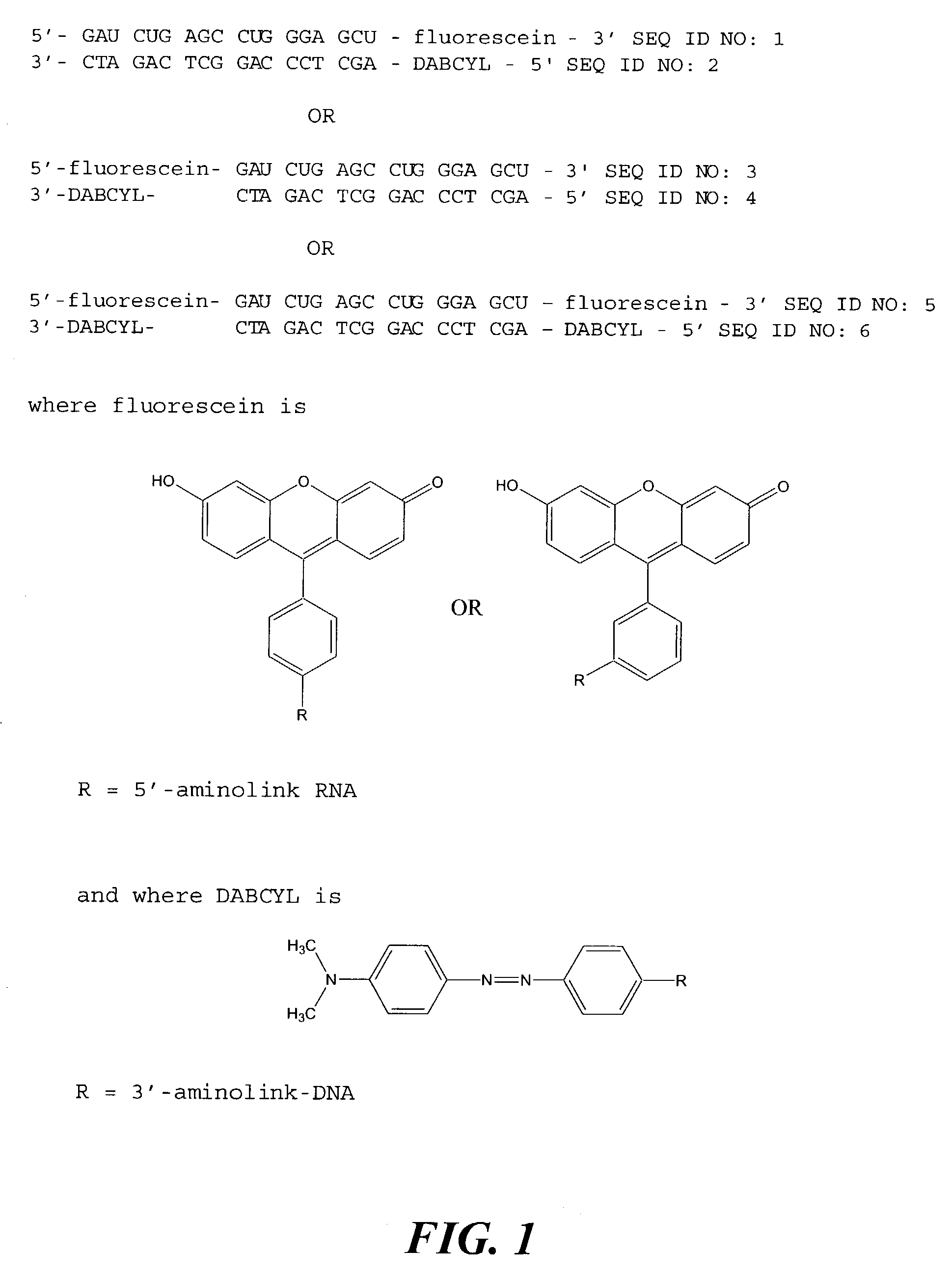 Substrate for assaying ribonuclease H activity