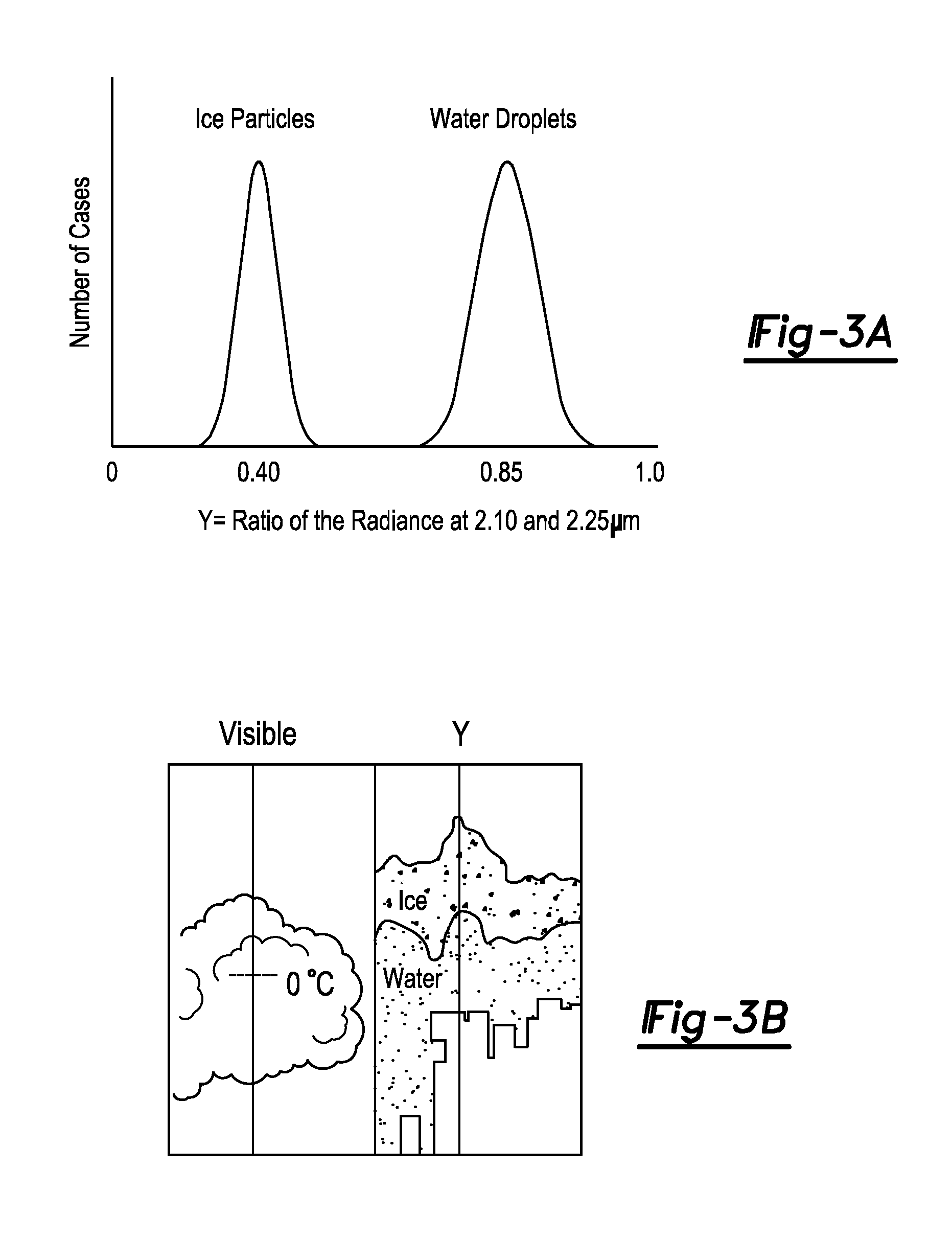 Ice and water detection system