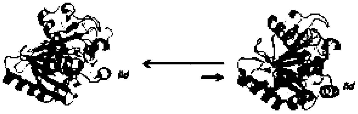 Lipase composition and application thereof