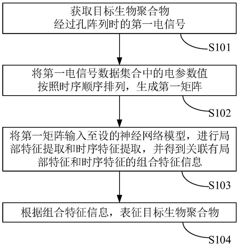 Biopolymer characterization method, device and equipment, and computer storage medium