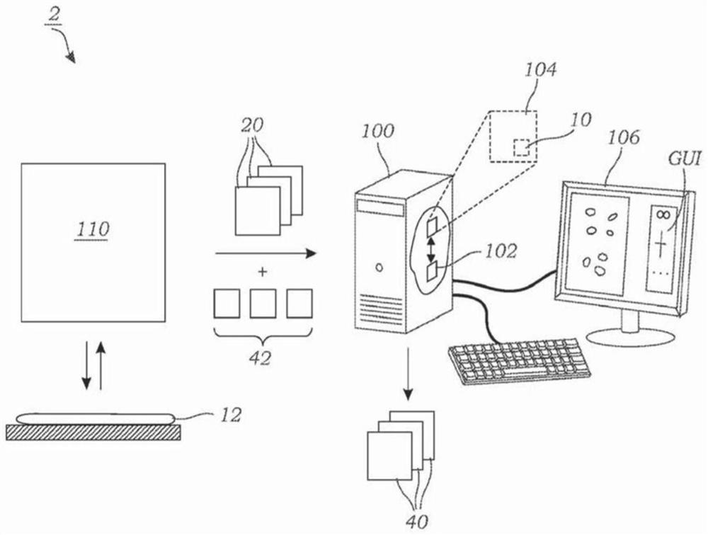 Systems and methods for two-dimensional fluorescence wave propagation onto surfaces using deep learning