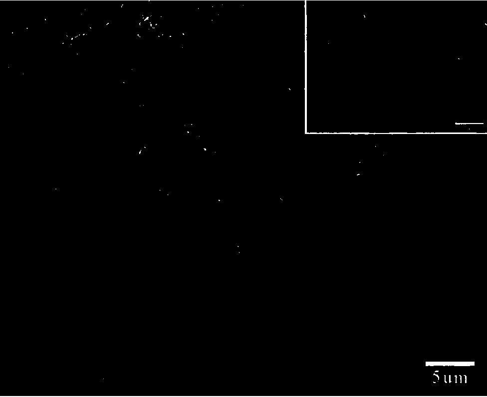 Preparation method for nano porous metal materials