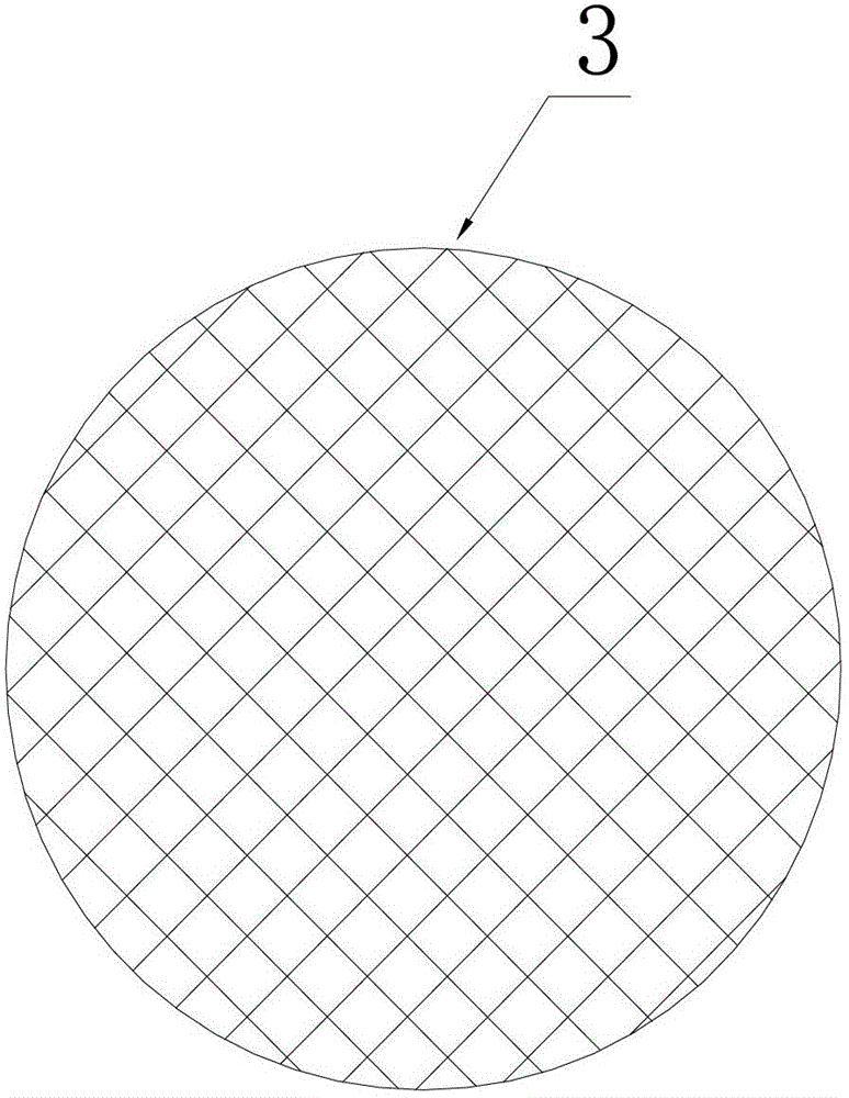 Micropulsation combustor