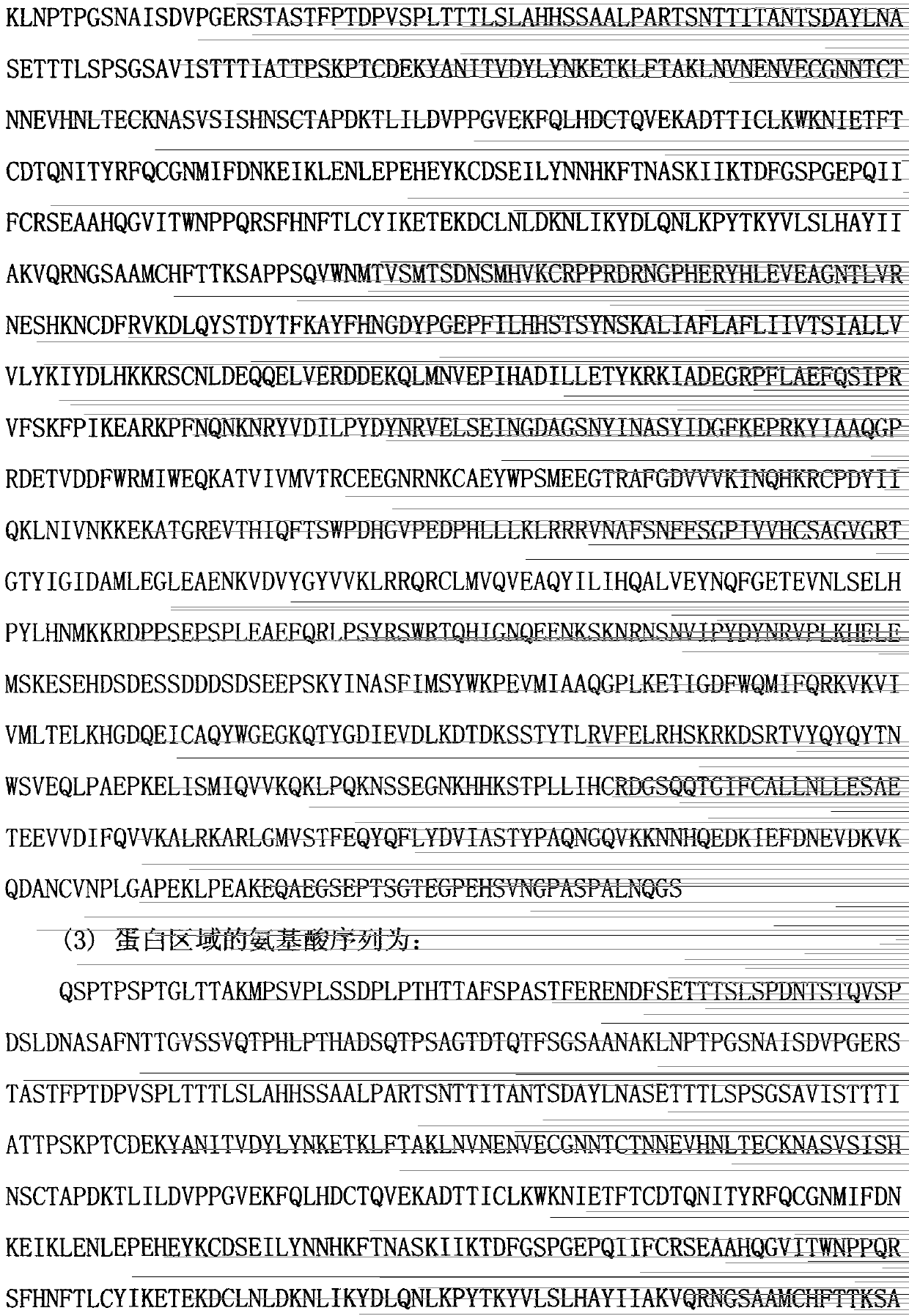 Novel CTC (circulating tumor cell) enrichment technology and preparation method of kit