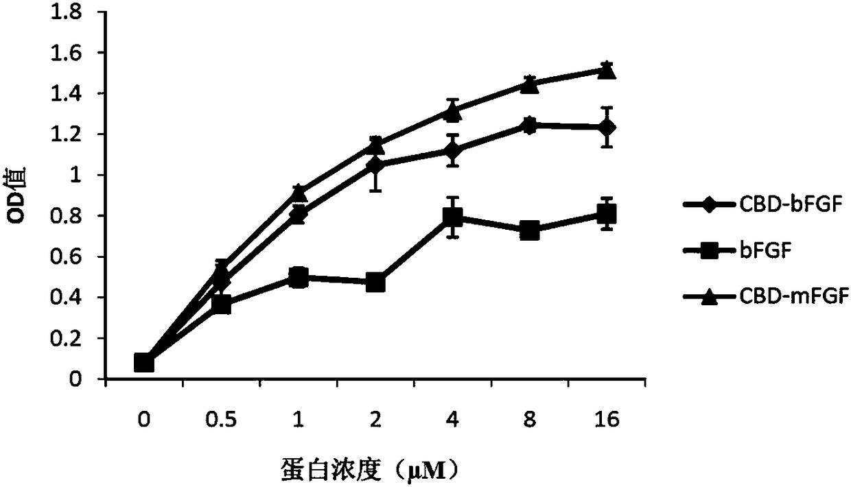 Functional collagen biological material capable of inducing tympan regeneration and preparation method thereof