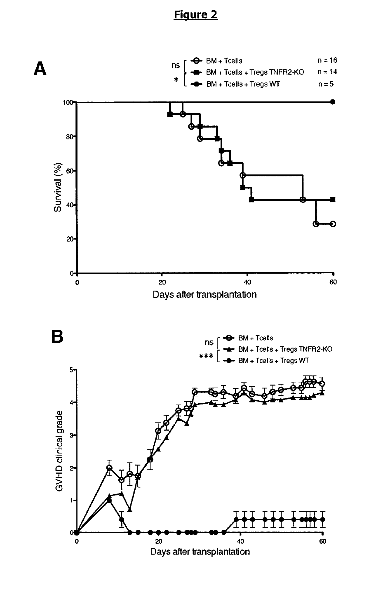 Prevention or Treatment of Hematologic Malignancy Relapse Using a TNFR2 Antagonist