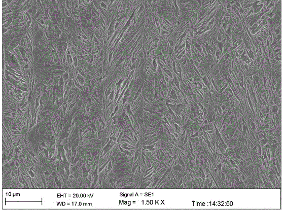 Martensite broad hot strip with tensile strength of 1500MPa level and production method of martensite broad hot strip