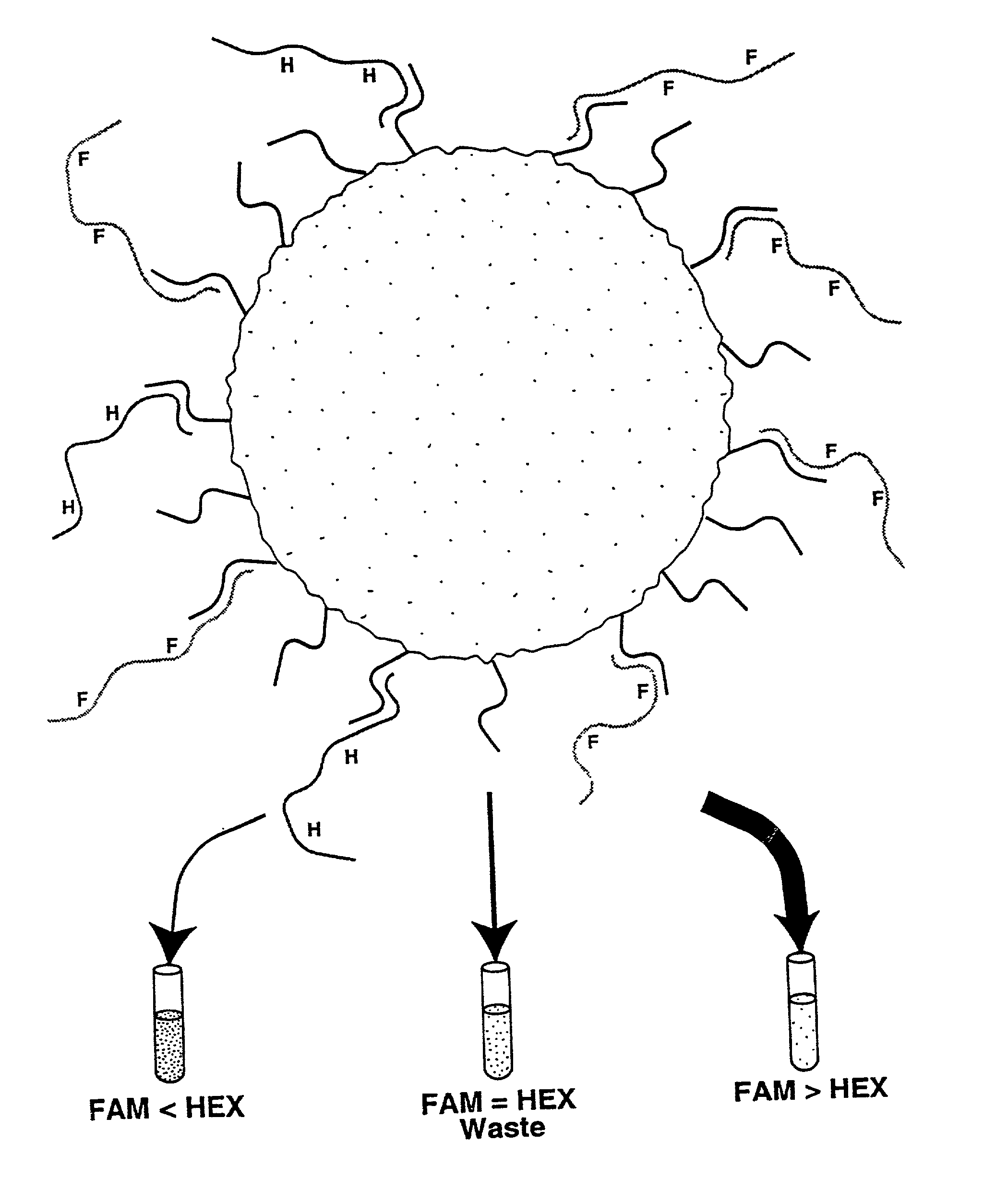 Methods for negative selections under solid supports