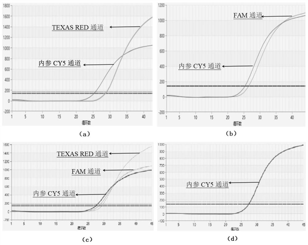 Primer, kit and recognition method for human ApoE/SLCO1B1 gene locus