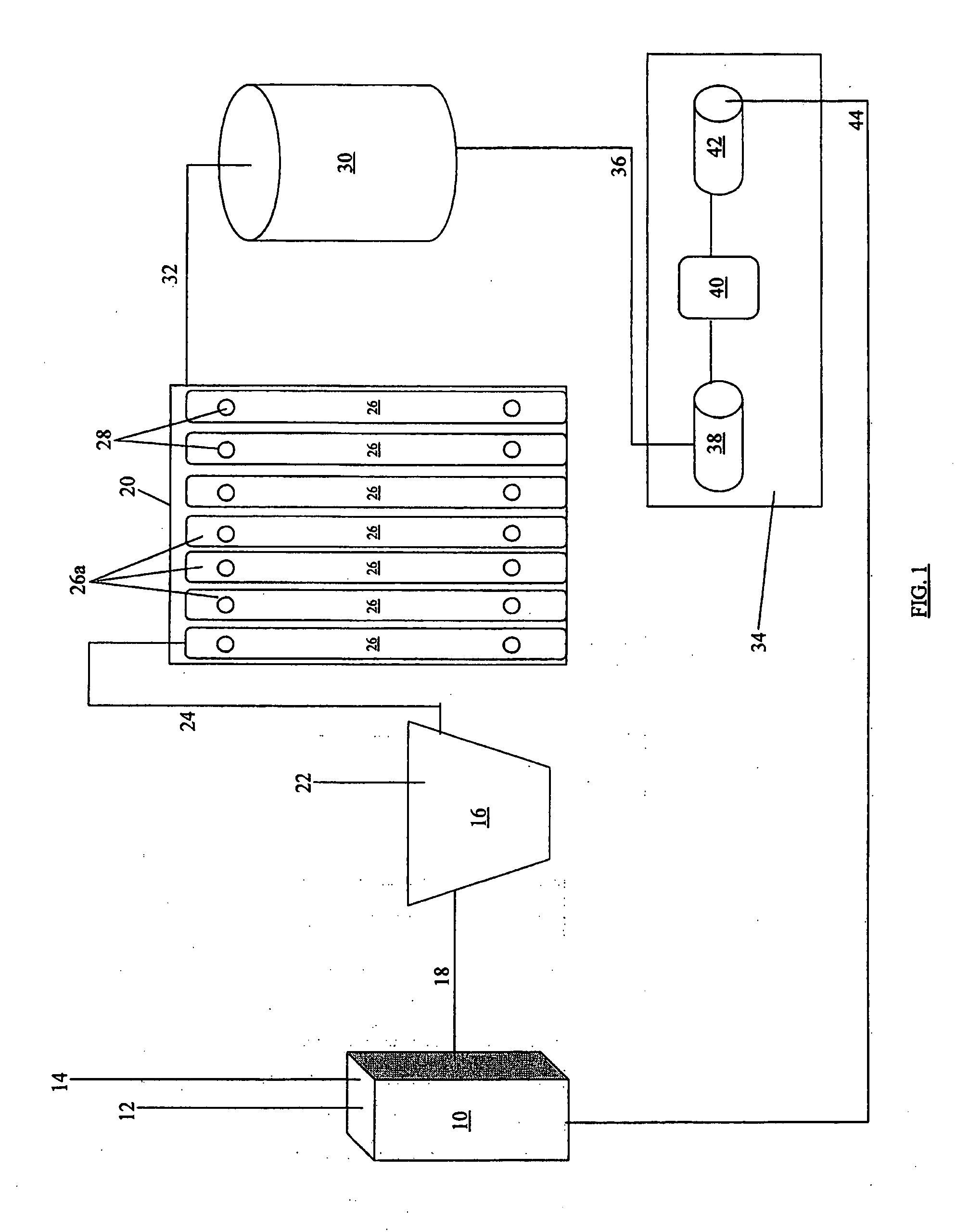 Process and system for producing algal oil