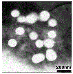 Multifunctional poly(malic acid) carried drug for targeting treatment of tumors