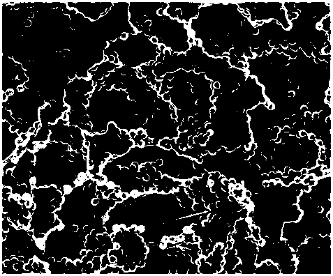 Polymerization emulsion, preparation method thereof, aqueous adhesive, and preparation method and application of aqueous adhesive