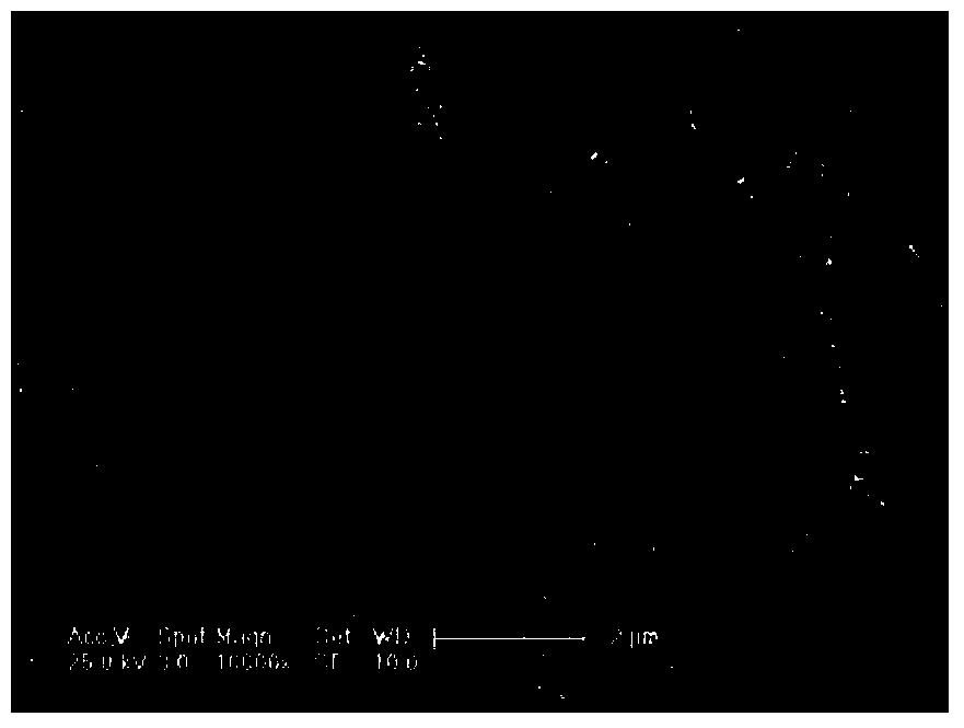 Preparation method for regenerating dental prosthetic material and acidic amino acid-induced demineralized dental enamel outer enamel prism thereof in situ