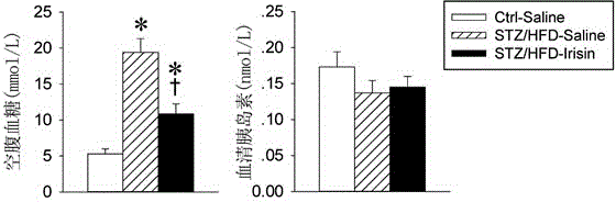 Application of irisin in preparation of antihyperglycemic medicines