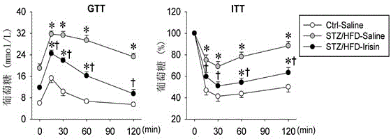 Application of irisin in preparation of antihyperglycemic medicines