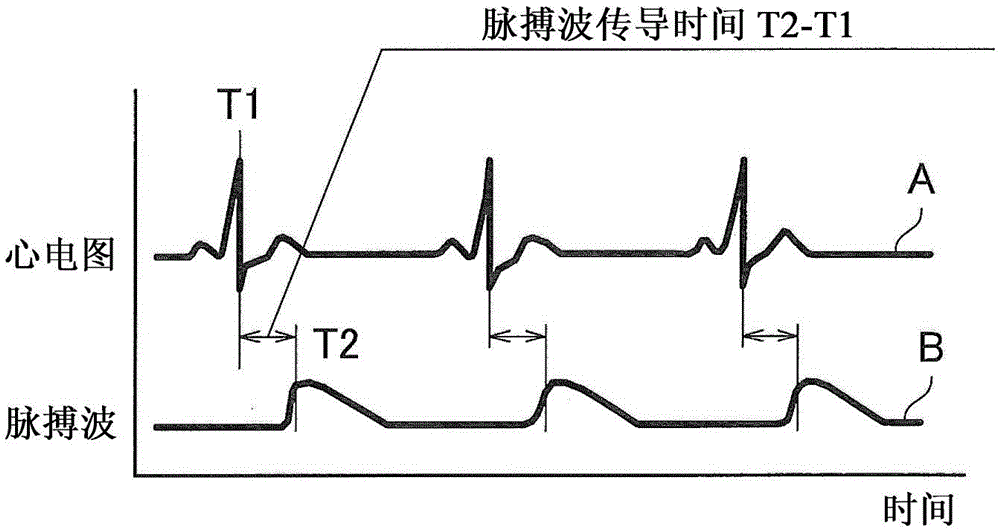 Biological information measurement apparatus, biological information measurement system, biological information measurement method, and program