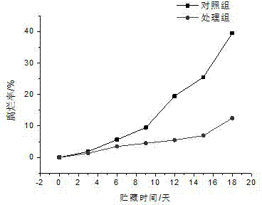 Carvacrol slow release preservative and preparation method thereof