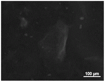 A nanometer enzyme reactor prepared based on a hydroxy selective immobilization manner, a preparing method thereof and applications of the reactor