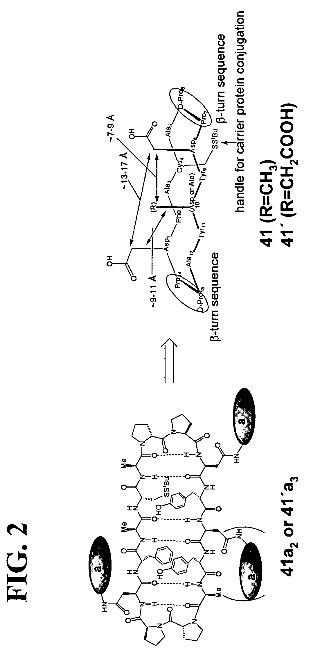 Gp120 specific antigens and uses thereof