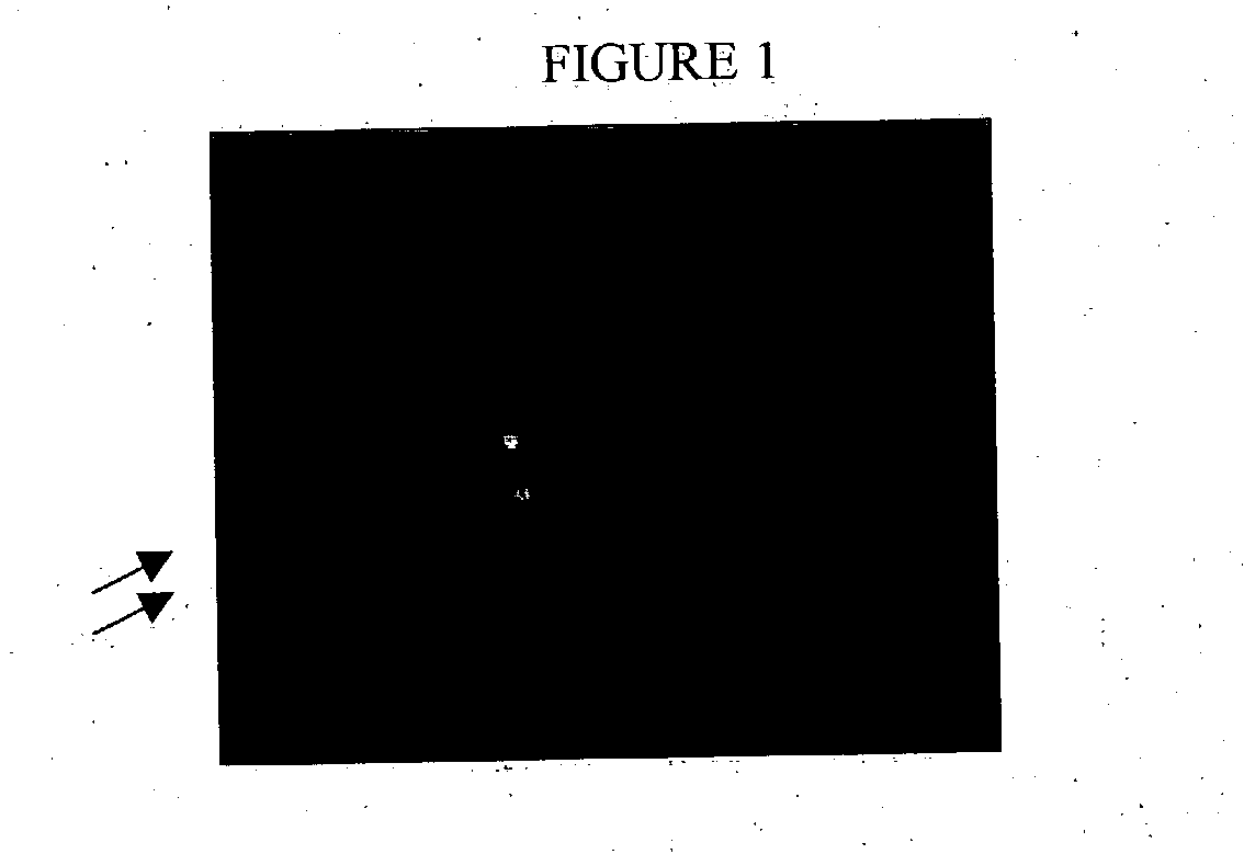 Methods and compositions for the preparation and use of fixed-treated cell-lines and tissue in fluorescence in situ hybridization