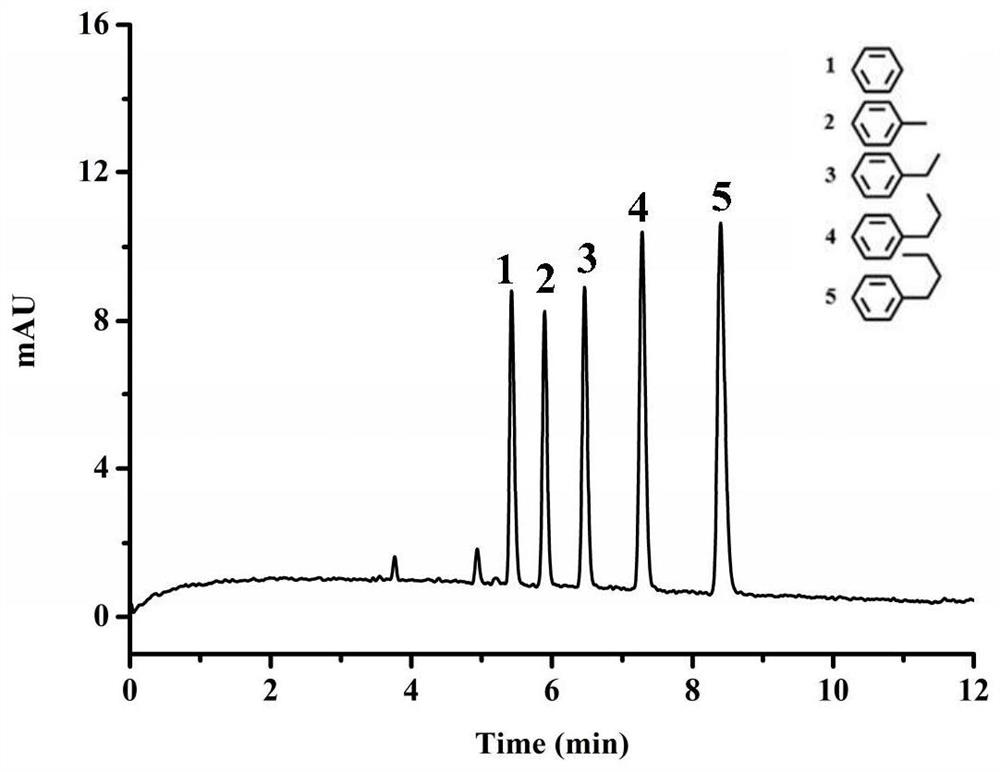 Novel bifunctional group mixed mode organic polymer monolithic column, and preparation method and application thereof