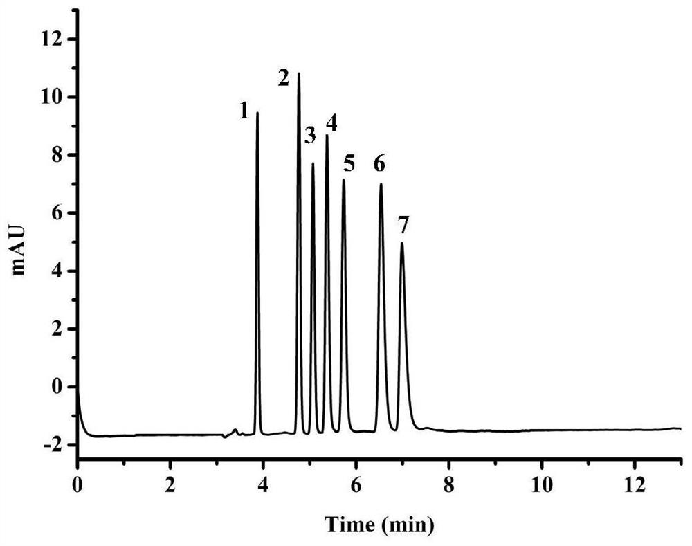 Novel bifunctional group mixed mode organic polymer monolithic column, and preparation method and application thereof