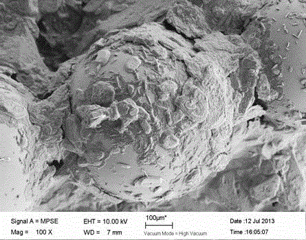 A denitrification method coupled with ion exchange-zero-valent iron-denitrifying bacteria