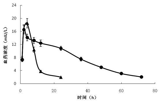 Insulin carrier transdermal drug delivery preparation and preparation method thereof