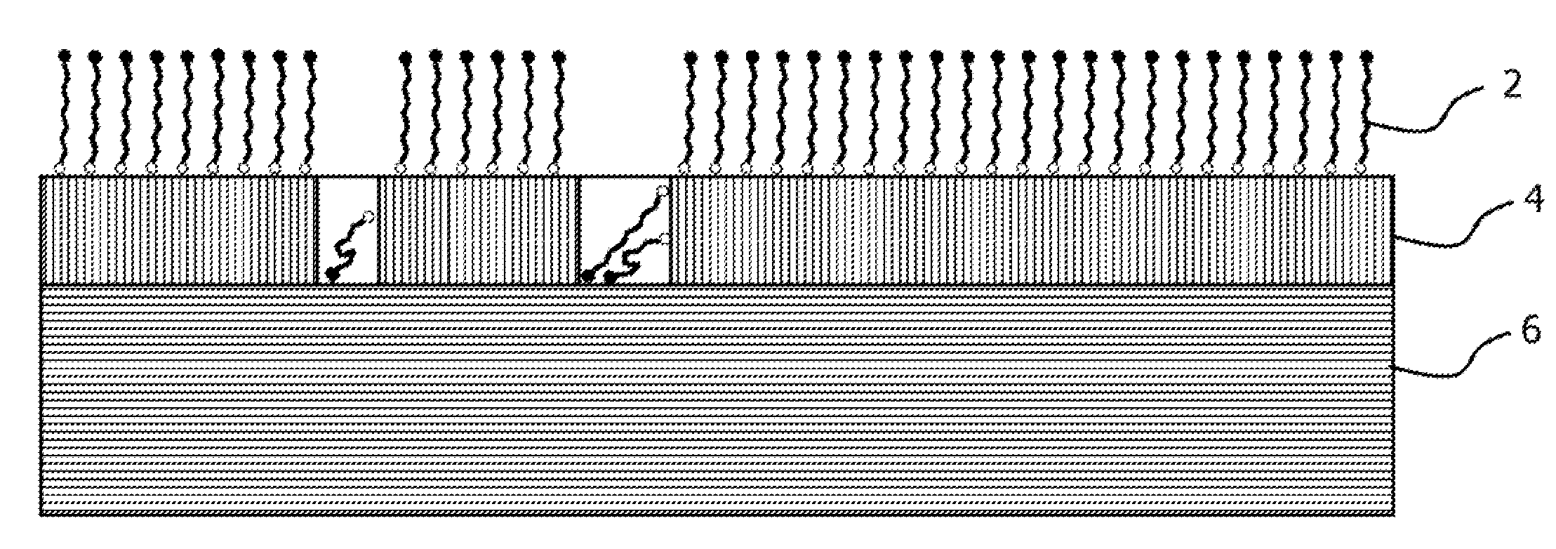 Self assembled molecules on immersion silver coatings