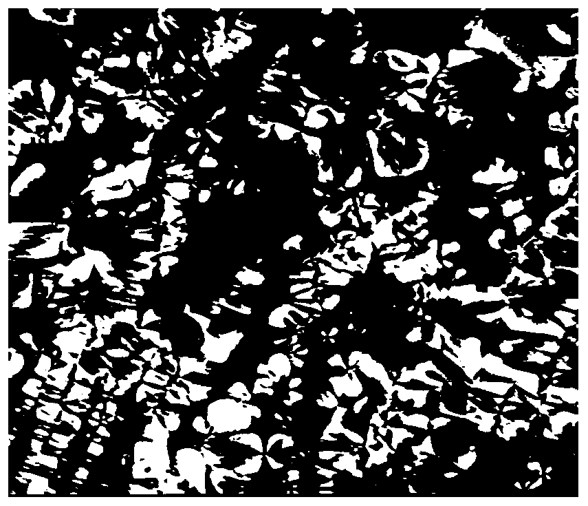 Main chain type biodegradable liquid crystal polymer and preparation method thereof