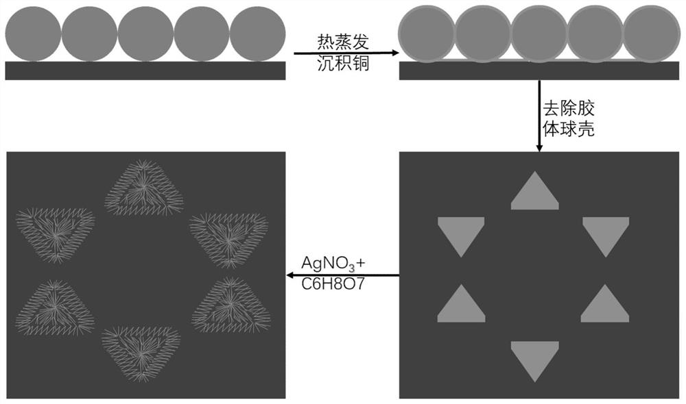 Silver nanosheet cluster array and preparation method thereof