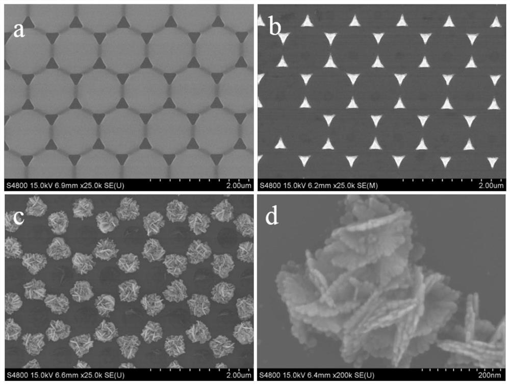 Silver nanosheet cluster array and preparation method thereof