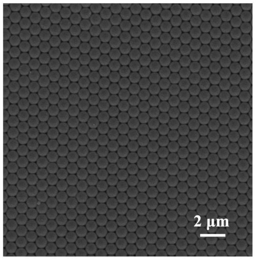 Porous PDMS film with two-dimensional inverse opal structure and preparation method thereof