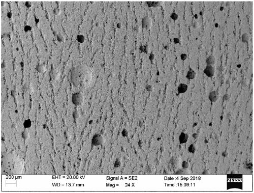 Bionic cement with oriented porous structure and preparation method thereof