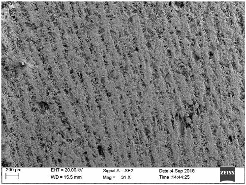 Bionic cement with oriented porous structure and preparation method thereof