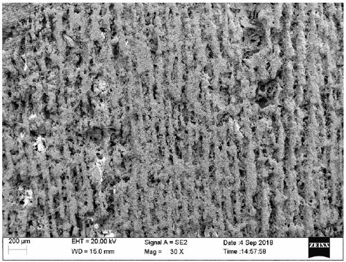 Bionic cement with oriented porous structure and preparation method thereof