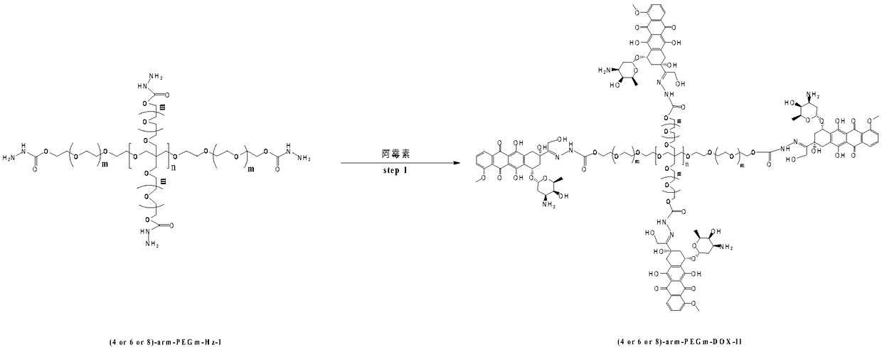 Multi-arm PEGylated (Polyethylene Glycolylated) azithromycin derivative and preparation thereof