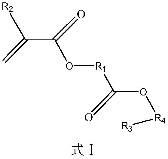 Diester acid protection structure monomer and preparation method thereof