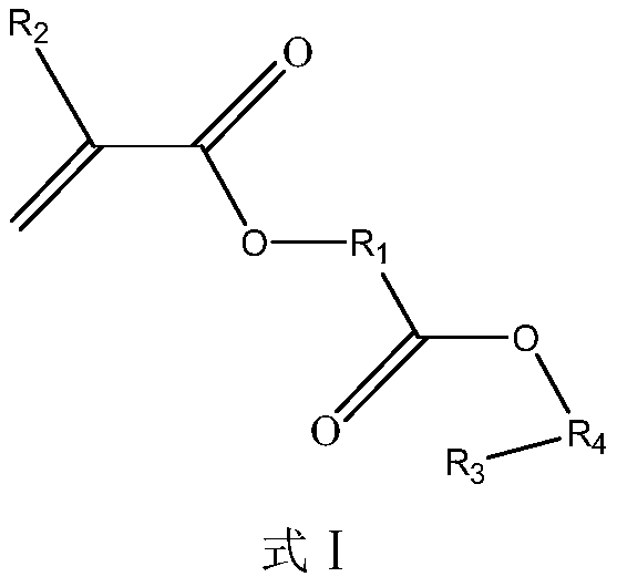 Diester acid protection structure monomer and preparation method thereof