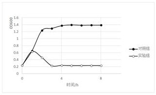 A lytic Vibrio harvelii phage rdp-vp-19012 and its application