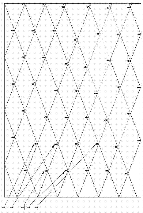 Mode of arranging and building main, auxiliary and intercropping host forests for herba cistanches, namely shelter forests against wind and for fixing sand