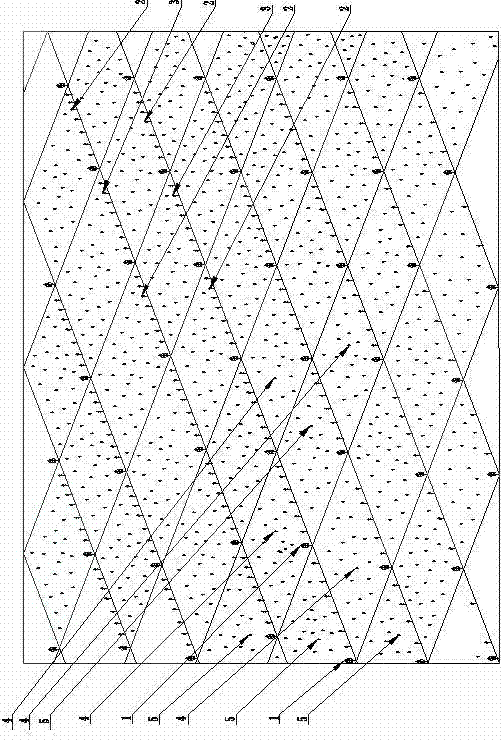 Mode of arranging and building main, auxiliary and intercropping host forests for herba cistanches, namely shelter forests against wind and for fixing sand