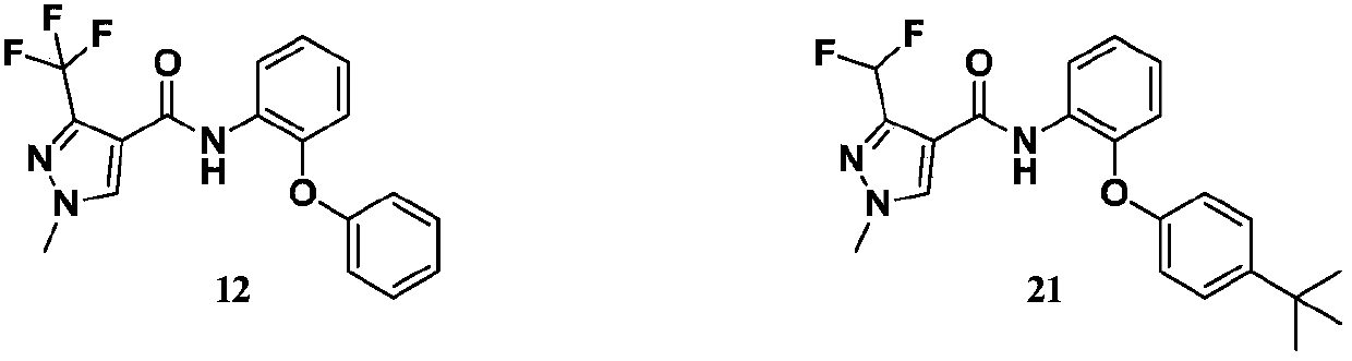 Pyrazole amide compound and application thereof and bactericide