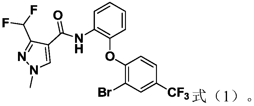 Pyrazole amide compound and application thereof and bactericide