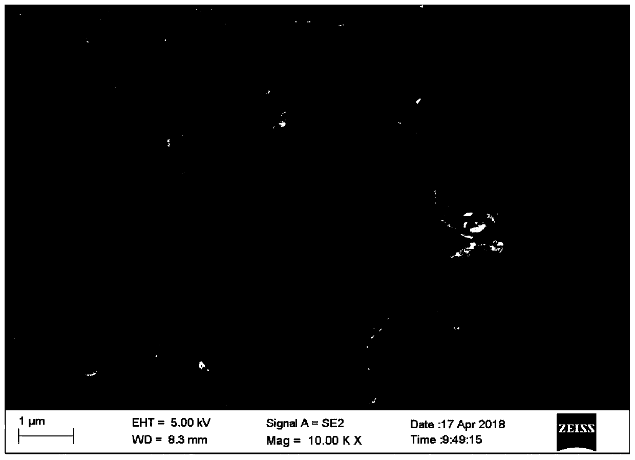 Method for preparing porous carbon from scallions and waste