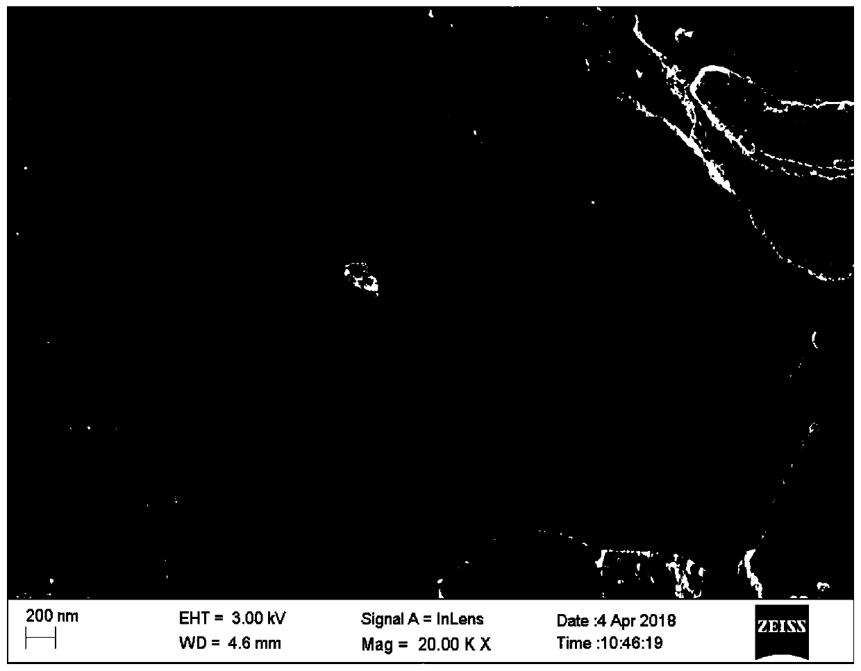 Method for preparing porous carbon from scallions and waste