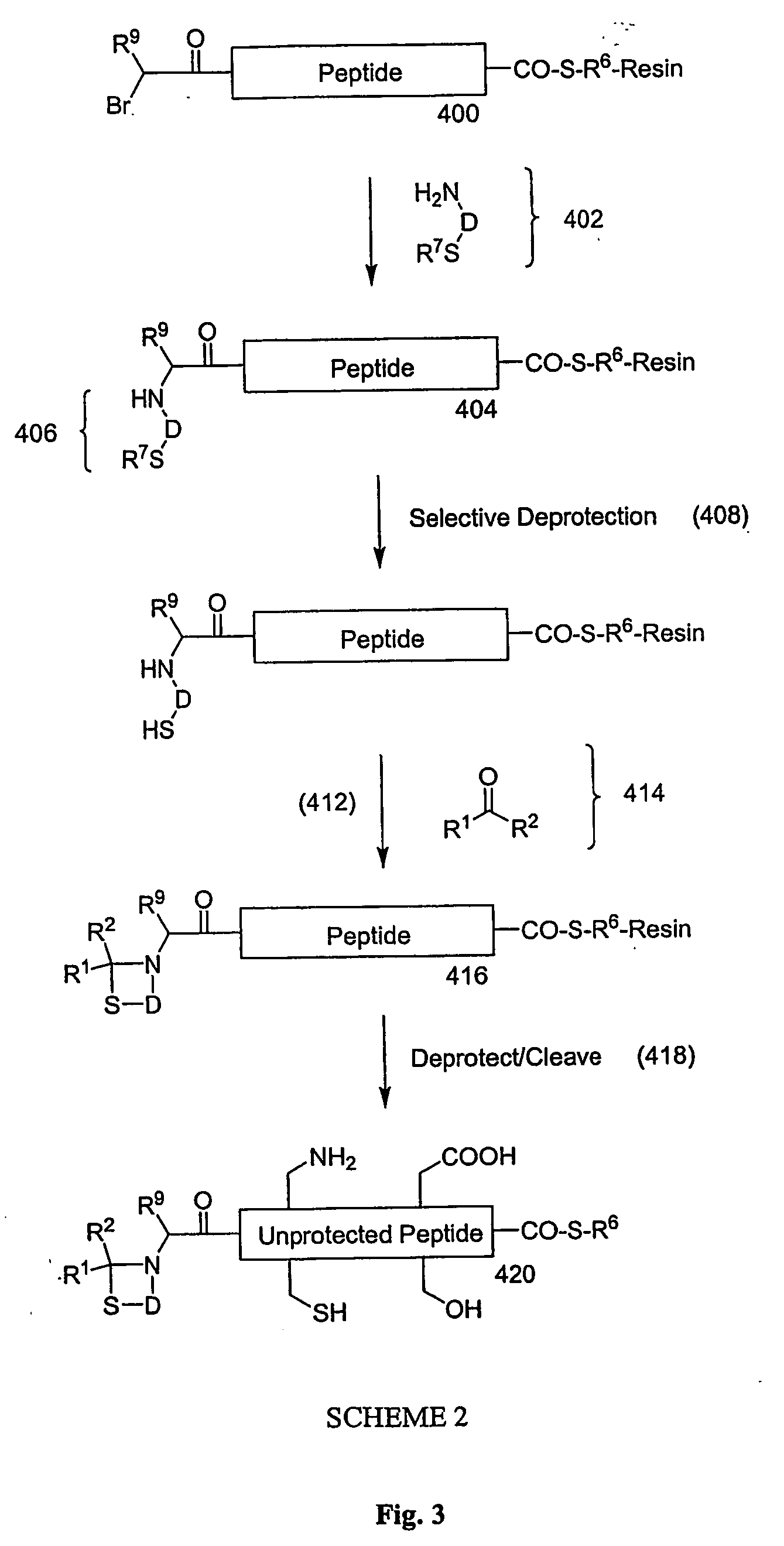 Carboxy protection strategies for acidic c-terminal amino acids in chemical ligation of oligopeptides