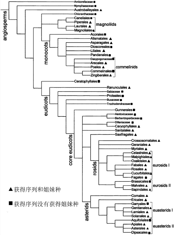 Identification method for seed plant species and application