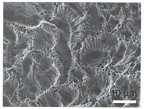 Preparation method of anti-dry and anti-freezing hydrogel