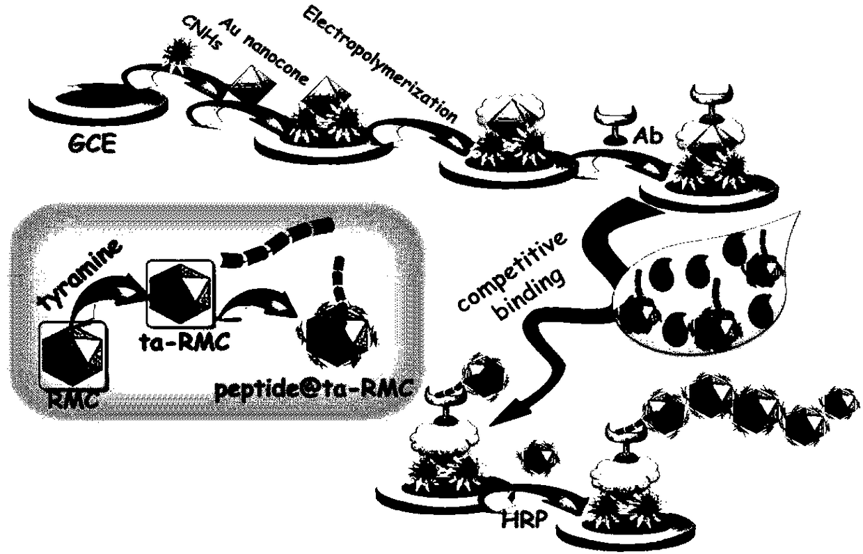 Non-toxic photoelectrochemistry competition immunoassay method of zearalenone based on peptide sensor